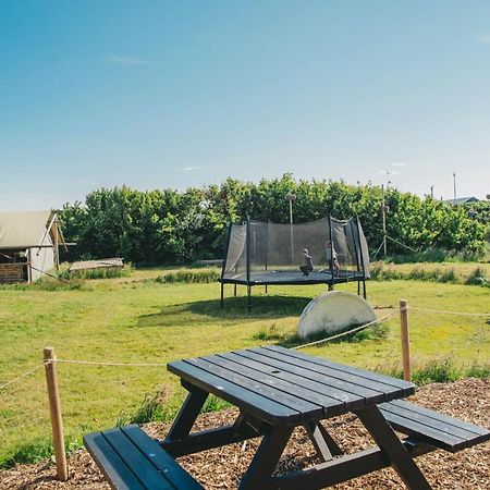 Family & Surfhostel Petten Exterior foto